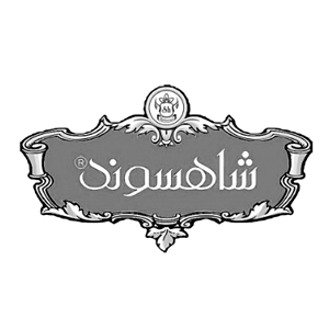 تیزر تبلیغاتی صنعتی مشهد